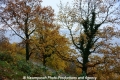 Herbstimpression 121112-04.jpg