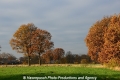 Herbstimpression-Land 151112-02.jpg