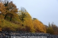 Herbstimpression 121112-02.jpg