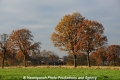 Herbstimpression-Land 151112-01.jpg