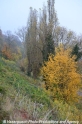 Herbstimpression 121112-12.jpg