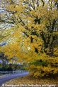 Herbstimpression 121112-06.jpg