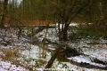 Alsterfluss-Winter 160108-01.jpg