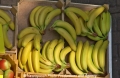 Bananen 26802.jpg