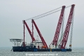 Gulliver HK-211218-1.jpg