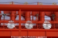 Cape Egmont Manifold 31103-1.jpg