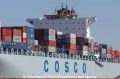 Cosco Napoli Detail 11606-02.jpg