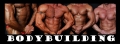 10-Bodybuilding-01.jpg