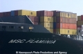 MSC Flaminia Name 29303.jpg