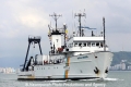 Alpha-Crucis RV-071112-02.jpg