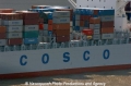 Cosco Logo 9505-1.jpg