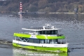 Adler nature 200324-09.jpg