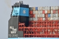 Ane Maersk Schornstein 30324.jpg