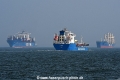 3xCosco-Con-Tanker-Bulker JG-24325.jpg