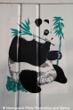 Logo Cosco-Panda 25208.jpg