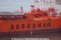 Bergshav Logo 261004.jpg