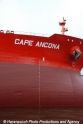 Cape Ancona Bugname 51007-4.jpg