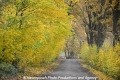 Herbstimpression 121112-07.jpg