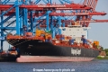 Al Hilal KH-120518-2.jpg