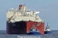 Al Gattara TR-070816-210.jpg