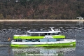 Adler nature 200324-11.jpg