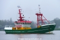 Flamingo (OK-260415-0).jpg