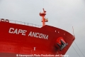 Cape Ancona Bugname 51007-1.jpg