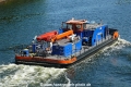 Argusauge (OK-040714-3).jpg