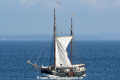 Amazone HK-230519-2.jpg