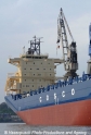 Cosco Brisbane Cosco-Logo 10505-1.jpg