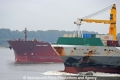 Bulker+Con-Bug 23908.jpg