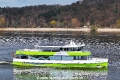 Adler nature 200324-10.jpg