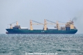 AAL Newcastle OS-291018-05.jpg