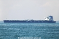 SM White Whale 1 OS-271023-01.jpg