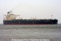 T.M. Harmony (MS-S-2007).jpg