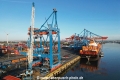 HHLA CTA-Brueckendemontage (KB-D031124-07).jpg
