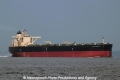 T.M. Harmony (MM-180813-1).jpg