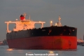 Seeb (MM-020914-3).jpg