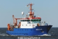 Solea JG-150524-1.jpg