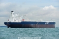 Shaden OS-081117-23.jpg