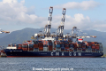 CMA CGM Tigris RV-230215-02.jpg