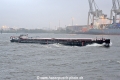 Bora 020913-1.jpg
