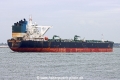 Seaways Triton TL-100824-4.jpg
