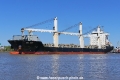 BBC Reef (OK-220420-0).jpg