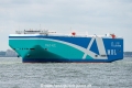 Cielo Ace (MM-160725-1).jpg