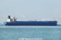 Serendipity OS-111022-14.jpg