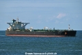 Sea Calm OS-060822-06.jpg