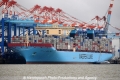 Maersk Mc-Kinney Moeller OS-180813-21.jpg