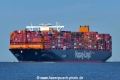 Damietta Express (KK-300724-0).jpg