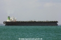 Starla (MS-090418-06).jpg